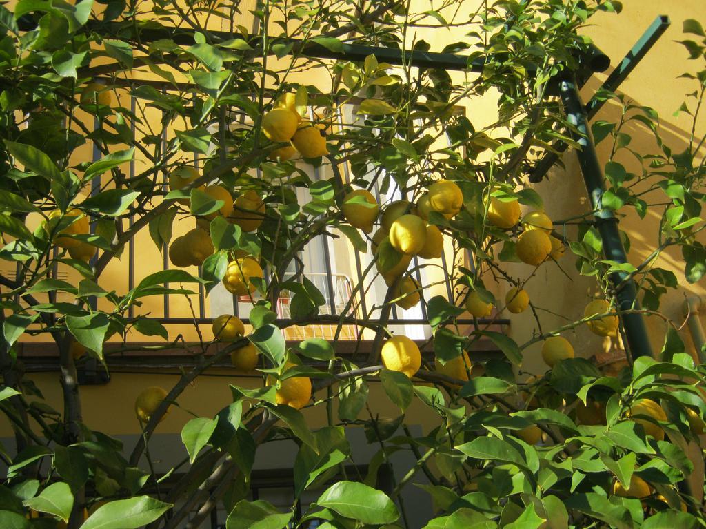 Holiday Home Il Borgo Degli Agrumi Uzzano Dış mekan fotoğraf