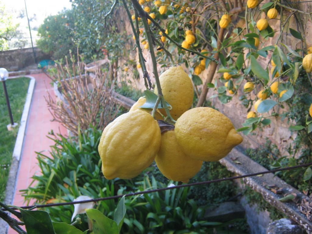 Holiday Home Il Borgo Degli Agrumi Uzzano Dış mekan fotoğraf