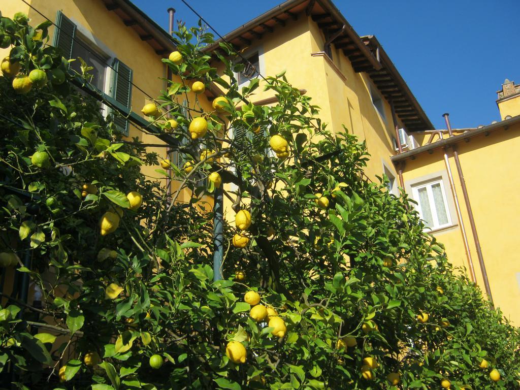 Holiday Home Il Borgo Degli Agrumi Uzzano Dış mekan fotoğraf